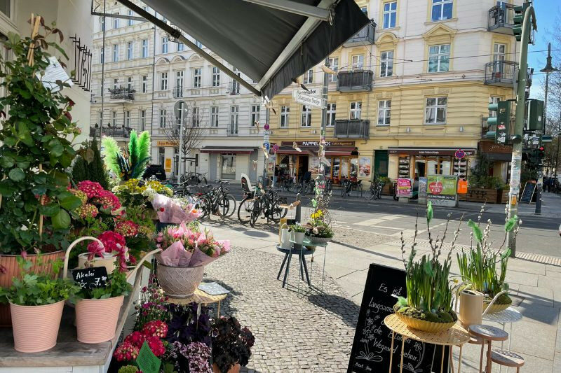 Prenzlauer Berg Canva Pro