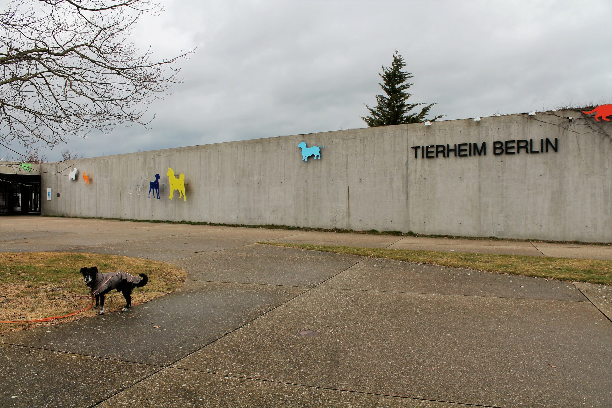 Tierheim in Berlin-Falkenberg