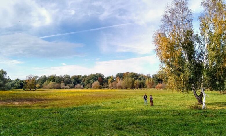 parchi di berlino