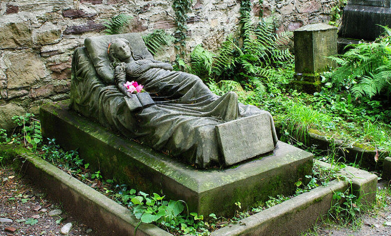 un fiore sulla tomba