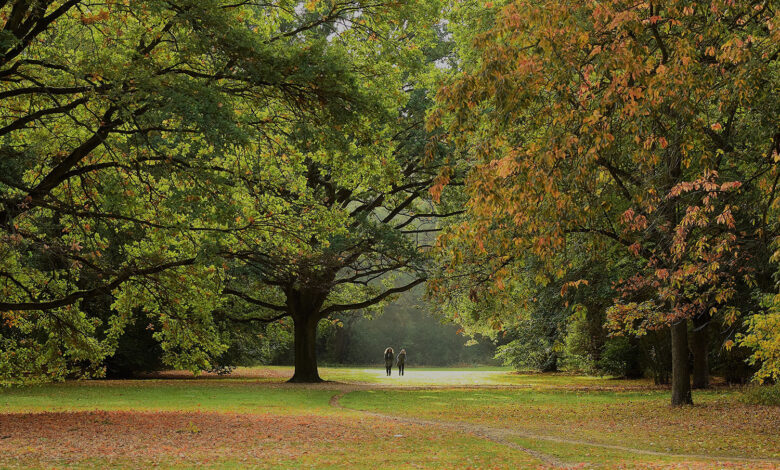 Tiergarten Stefano Comi Main