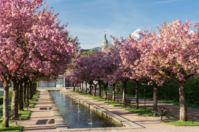 cosa vedere a berlino in tre giorni Canva PRO