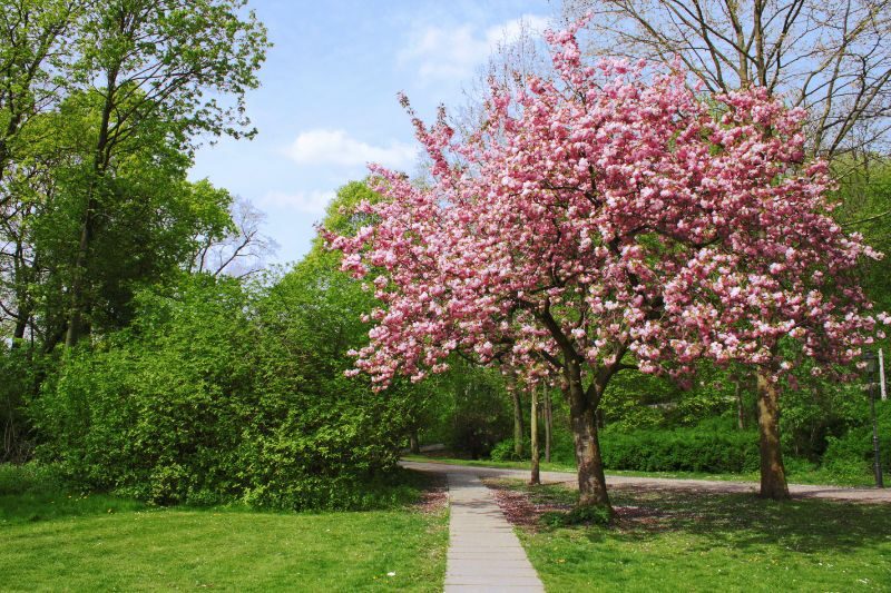 Volkspark Friedrichshain