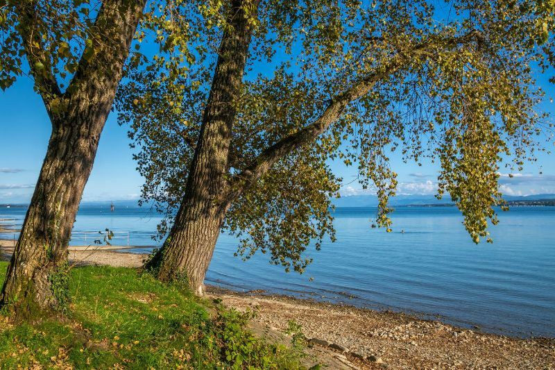 Visitare in Germania Bodensee