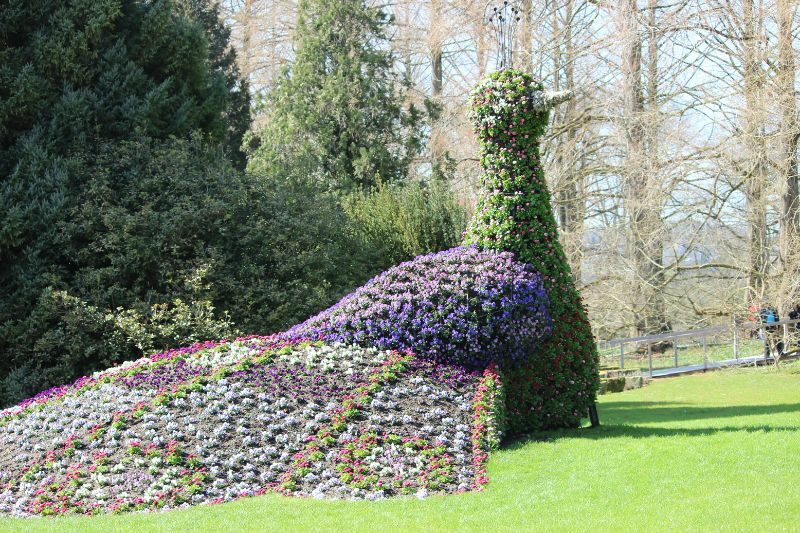 isola di mainau