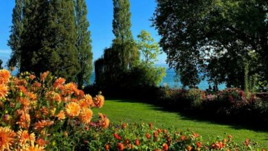 isola di mainau