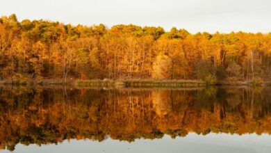 schlachtensee