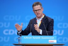 Carsten Linnemann, reddito di cittadinanza funzionari pubblici
