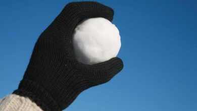 palle di neve