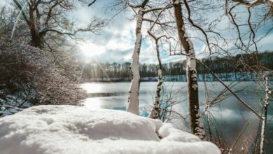 passeggiate invernali