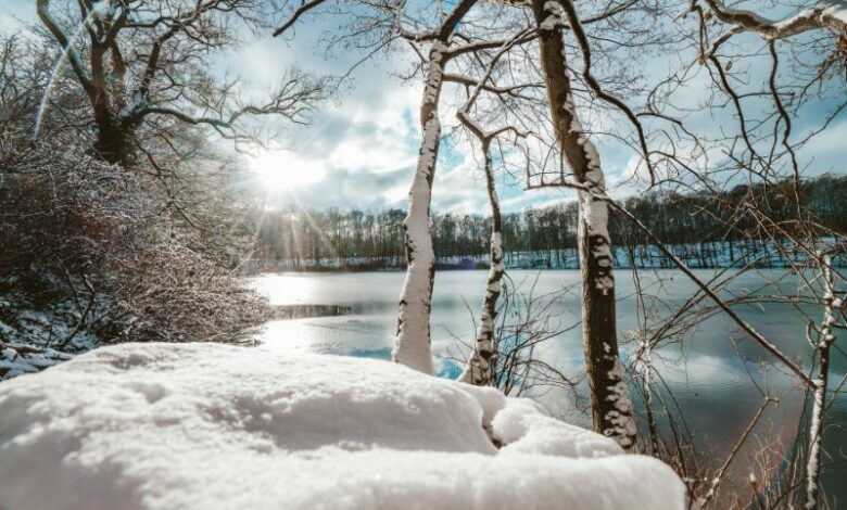 passeggiate invernali