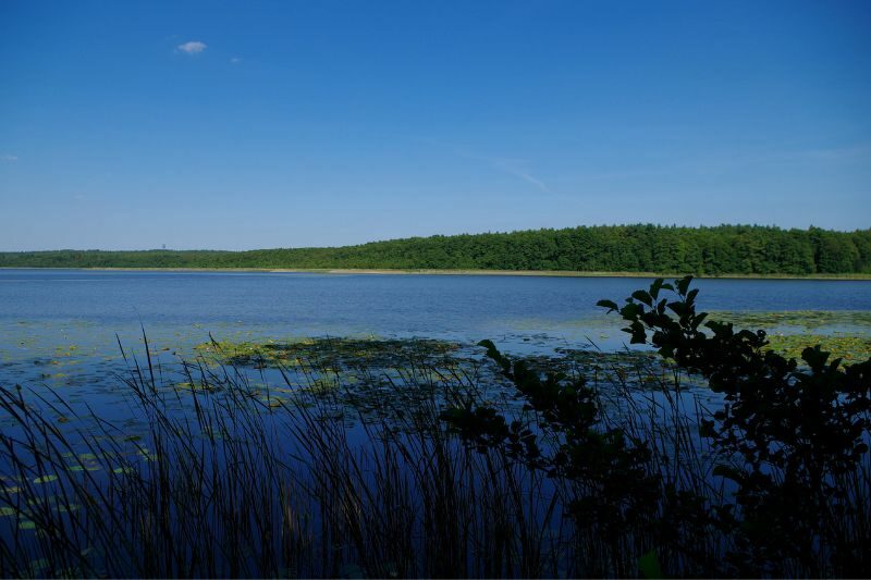 Lago Priesterbaker Parco Nazionale Muritz