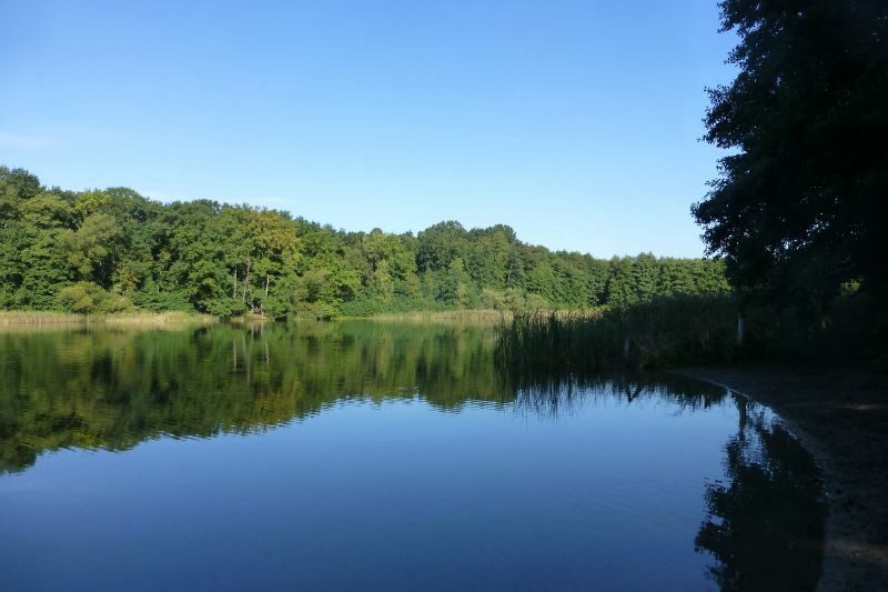 foresta di Grunewald