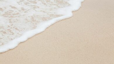 cocaina passeggia spiaggia