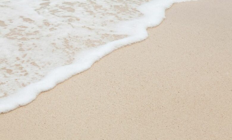 cocaina passeggia spiaggia