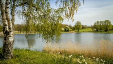 Passeggiate estive a Berlino Britz Garden