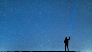 stelle cadenti a Berlino