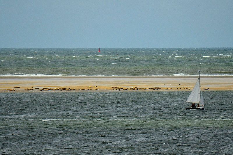 riserva naturale Borkum