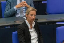 Weidel