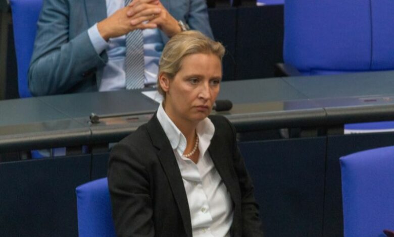 Weidel