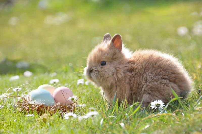 pasqua a berlino