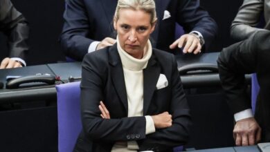 commissioni reddito di cittadinanza caso sospetto stupida weidel trump